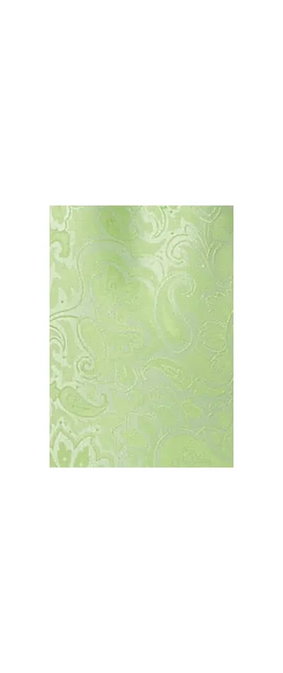 Composizione Uomo Cravatta e fazzoletto da taschino motivo Paisley Verde pallido